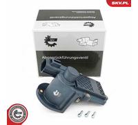 ESEN SKV 14SKV286 Vanne EGR pour VOLVO