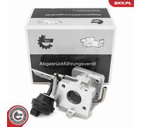 ESEN SKV 14SKV290 Vanne EGR pour AUDI,VW