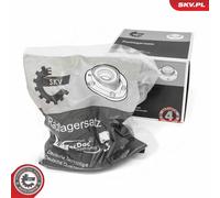 ESEN SKV 29SKV344 Kit de roulements de roue pour PEUGEOT,RENAULT