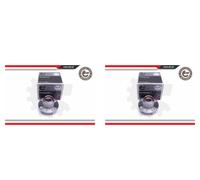 ESEN SKV 2x Hub Kit Roulements Arrière pour Chevrolet Étincelle Aveo Kalos M300