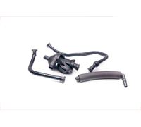 ESEN SKV 31SKV042 Kit de réparation, ventilation du carter-moteur