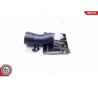 ESEN SKV 43SKV206 Gaine de suralimentation pour BMW