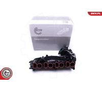 ESEN SKV 49SKV018 Module de tube d'admission pour BMW