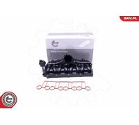 ESEN SKV 49SKV036 Module de tube d'admission pour AUDI,SEAT,SKODA,VW