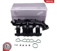 ESEN SKV 49SKV076 Module de tube d'admission pour CHEVROLET,OPEL