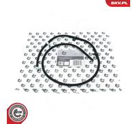 Conduite de retour d'injecteur Common Rail (CR) 54SKV387 ESEN SKV