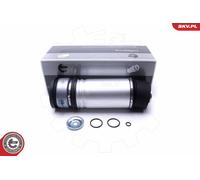 ESEN SKV 58SKV063 Armortisseur pneumatique pour BMW