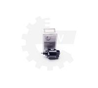 ESEN SKV Actuateur de ralenti Contrôle de ralenti 08SKV034