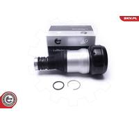 Esen Skv Air Spring Sac De Suspension Arrière Droit Pour Mercedes S-Class W222