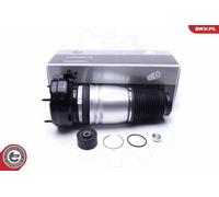 Esen Skv Air Spring Sac De Suspension Arrière Pour Audi A8 4H2 4H8 4HC 4HL