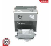 ESEN SKV Du Refroidisseur Convient pour Mini Cabriolet R52 COOPER S John R50 R53