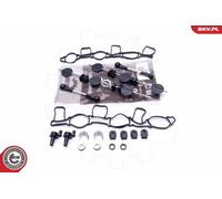 ESEN SKV Kit de Réparation Module Collecteur D'Admission pour Audi A6 Toute VW