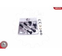ESEN SKV Kit Réparation Module de Collecteur D'Admission pour Audi A6 Toute VW