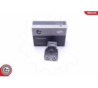 ESEN SKV Module De Ballast Pour Mercedes T-Model S205 W205 A205 C205