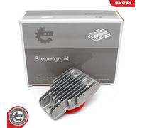 ESEN SKV Module De Ballast Pour Mercedes T-Model S205 W205 A205 C205