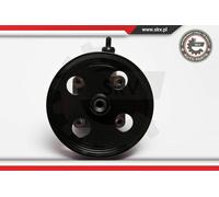 ESEN SKV Pompe Servo - Pompe Convient pour Volvo XC70 Cross Country 10SKV092