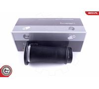 ESEN SKV Ressort Pneumatique Soufflet Arrière Côtés pour Land Rover II L318