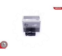 ESEN SKV Thermostat Liquide avec Joint Convient pour BMW 3er Compact E46