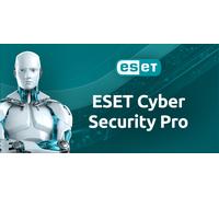 ESET Cyber Security Pro