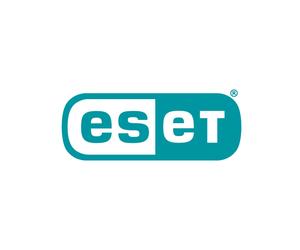 ESET Small Business Security Base Antivirus 1 Licence 1 An (12 mois) Téléchargement Électronique Windows