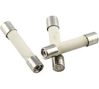 Micro-fusible ESKA 527.27 (Ø x L) 5 mm x 25 mm 10 A 250 V rapide -F- 10 pc(s)