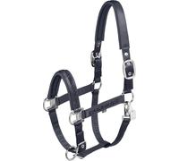 Eskadron Classic Sports 25 Mattgloss Jewel Licol double pin