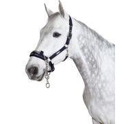 Eskadron licol CONTROL PIN BUCKLE bleu nuit Basics 2023, taille cheval:VB
