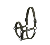 Eskadron Licol DOUBLE PIN Dynamic A/H 2025 Poney