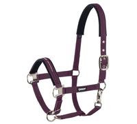 Eskadron Licol PIN BUCKLE Licol de qualité de sangle indéchirable Cob = Pur-sang