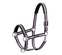 Eskadron Licol PIN BUCKLE Licol de qualité de sangle indéchirable Shetland