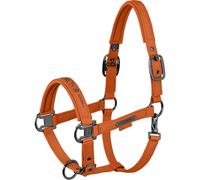 Eskadron Licol SPARKLE DOUBLE PIN Collection Platinum 2026 Grand cheval