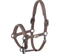 Eskadron Licol SPARKLE JEWEL DOUBLE-PIN Collection Dynamic A/H 2026 Grand cheval