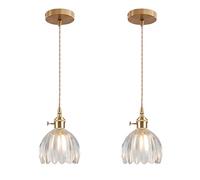 ESKED Suspension Vintage en Verre avec Douille E27 et Interrupteur Rotatif, Luminaire Plafonnier avec Abat-Jour en Forme de Pétale pour Cuisine, Salle à Manger ou Chambre (transparent, 2 pièces)