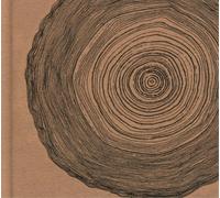 Eskimeaux Year of the Rabbit (CD) Deluxe Album