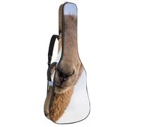 Eslifey Housse pour guitare acoustique avec bandoulière réglable Motif papillon sur fleur 101,6 cm 101,6 cm, Multicolore 8., 42.9x16.9x4.7 in, Organiseur de sac