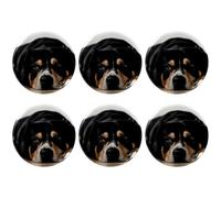 Eslifey Lot de 6 badges ronds de 5,6 cm avec épingle, motif chien paresseux amusant pour loisirs créatifs, loisirs créatifs, projets scolaires