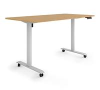 ESMART ETX-121GBA 160x80cm Décor Bambou Bureau Assis-Debout Ergonomique sur roulettes réglable en Hauteur électriquement 78,5-128,5cm 3X Mémoire Rappel d'activité Démarrage/arrêt en Douceur