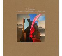 Everything Forever Until It Was No More-Vinyle 180 GR