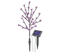 Esotec SOA Arbuste solaire muni de 36 fleurs roses