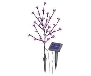 Esotec SOA Arbuste solaire muni de 36 fleurs roses
