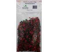 ESOTERRA Résine d'encens Jésus de Nazareth 100g - Encens en Grains Religieux