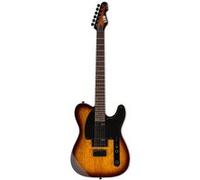 ESP LTD TE-200 guitare électrique Tobacco Sunburst RW