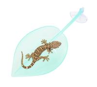 Espace bronzage pour aquarium tortues Accessoires à ventouses | Terrasse repos Accessoires à ventouses pour terrarium pour grenouilles naines, tortues, geckos léopards, crapauds, bassin de