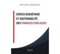 Espace budgétaire et soutenabilité des finances publiques