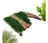 Espace de chauffe et de repos pour tortue aquatique Plateforme de repos | Terrasse de chauffe pour tortue terrestre pour Tortues, Grenouilles, Reptiles, Chéloniens Terrestres, Émyde