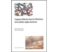 Espace littéraire dans la littérature culture
