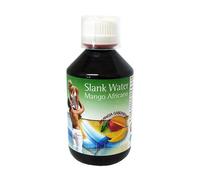 Espadiet Slank Water Mango 250ml