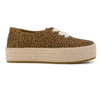 Espadrilles à lacets femme Toms Valencia Marron 38,5
