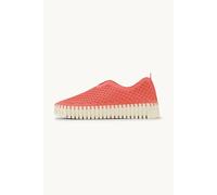 Ilse Jacobsen Flats Tulip3373 Raspberry Taille: 39 | Baskets Outlet | Femme | Rose