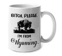 Espèce De Connasse, Je Viens Du Wyoming Mug Céramique Tasse Drôle Tasses À Thé Pour Travail Maison Chocolat Chaud Espresso 330Ml
